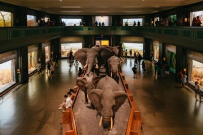 New York City: American Museum of Natural History Ticket - Rose Center and the Richard Gilder Center: your science anchor