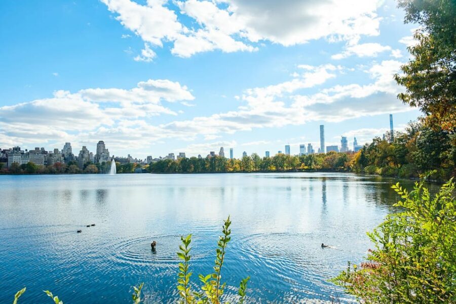 NYC: Central Park Pedicab Tour with Photo Stops - Should You Book the Central Park Pedicab Tour?