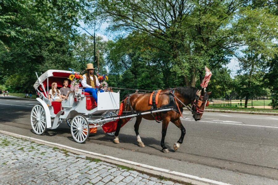 NYC MAGICAL NIGHT TIME RIDE Central Park/Rockefeller Center - Key points to know before you go