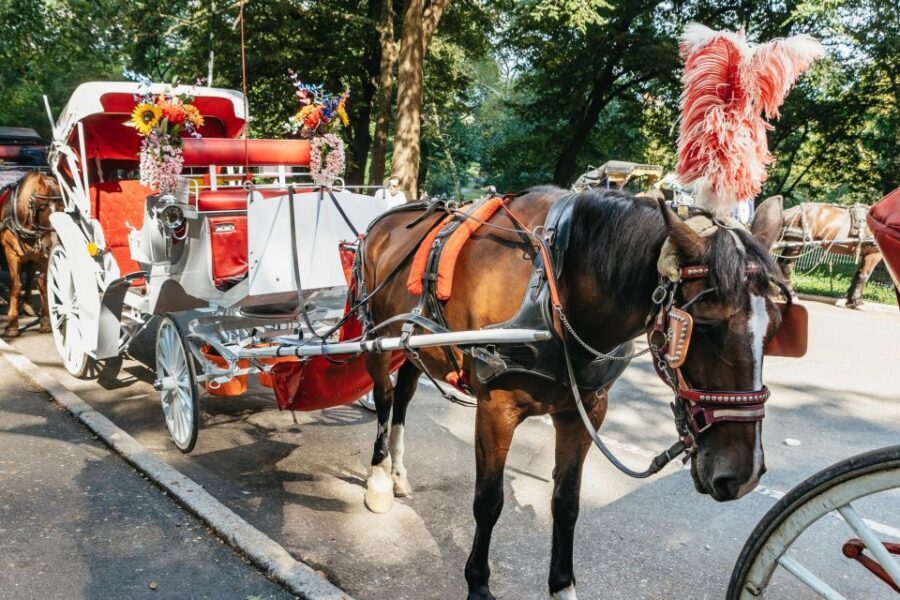 NYC MAGICAL NIGHT TIME RIDE Central Park/Rockefeller Center - Who this private night ride suits best