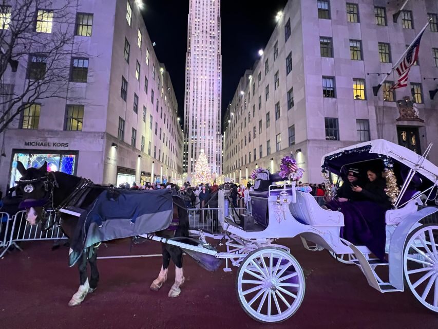NYC: Private Central Park and NYC City Tour - Why a horse-drawn carriage works in Central Park