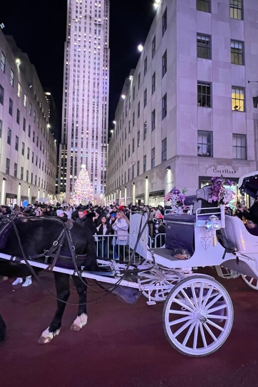 NYC: Private Central Park and NYC City Tour - The Carousel stop: Fun for kids, charm for adults