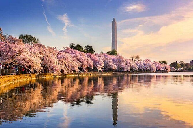 Washington D.C. Cherry Blossom,Baltimore 3-Day Tour from Boston - Key highlights worth marking on your map